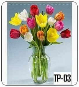 Bunga Meja Tulip