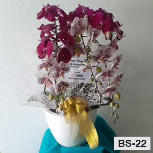 Bunga Meja Elegan BS22