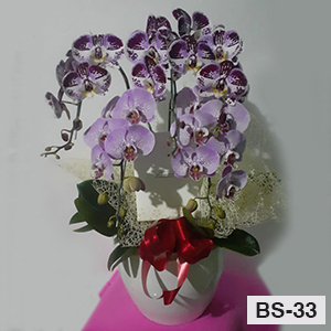 Bunga Meja Elegan BS33