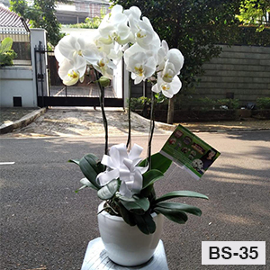 Bunga Meja Elegan BS35